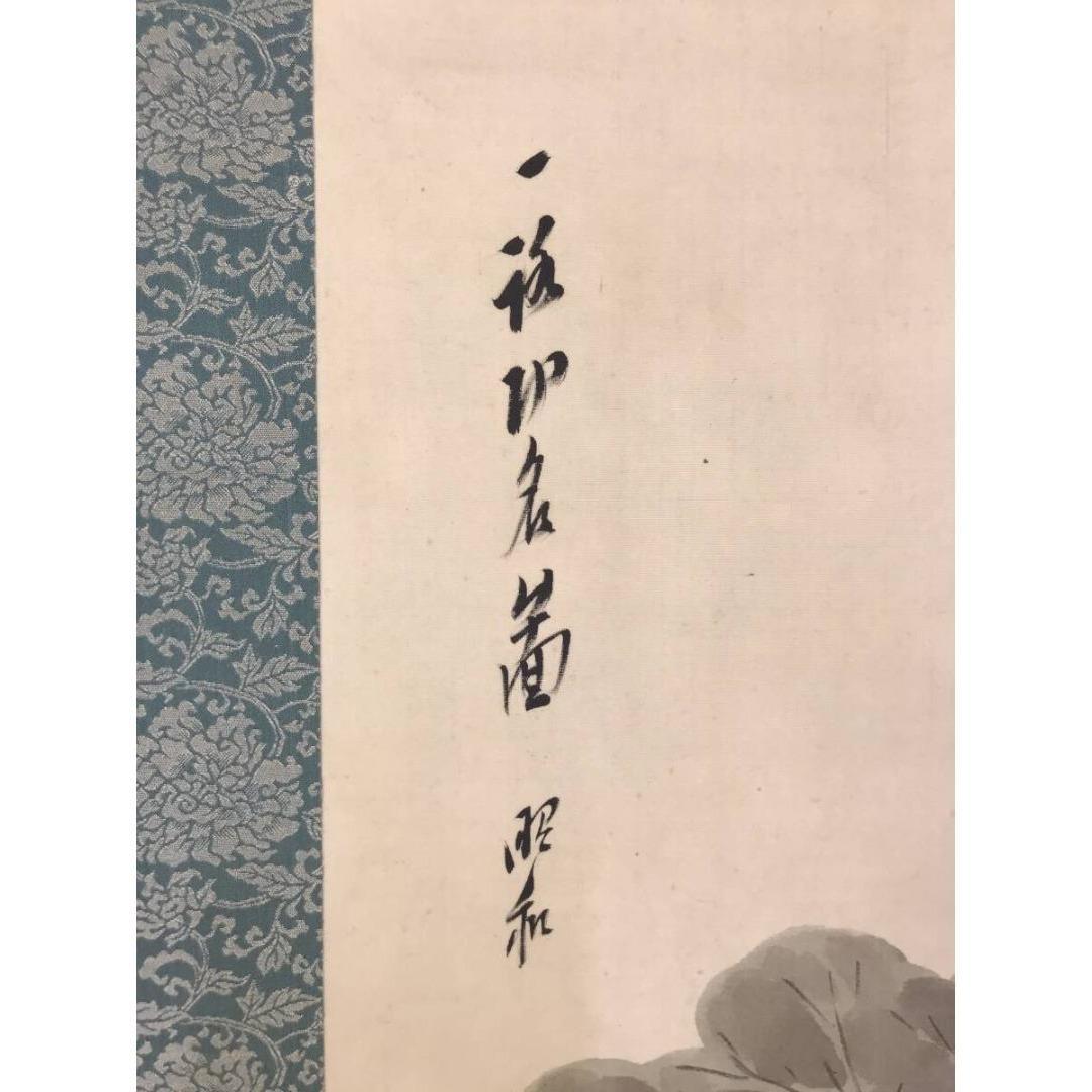 真作/藤井華浦/蓮に白鷺/サギ図/花鳥図/掛軸☆宝船☆AK-213