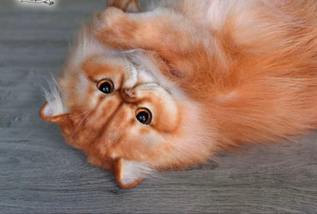 海外作家様作　アートドール　ペルシャ猫