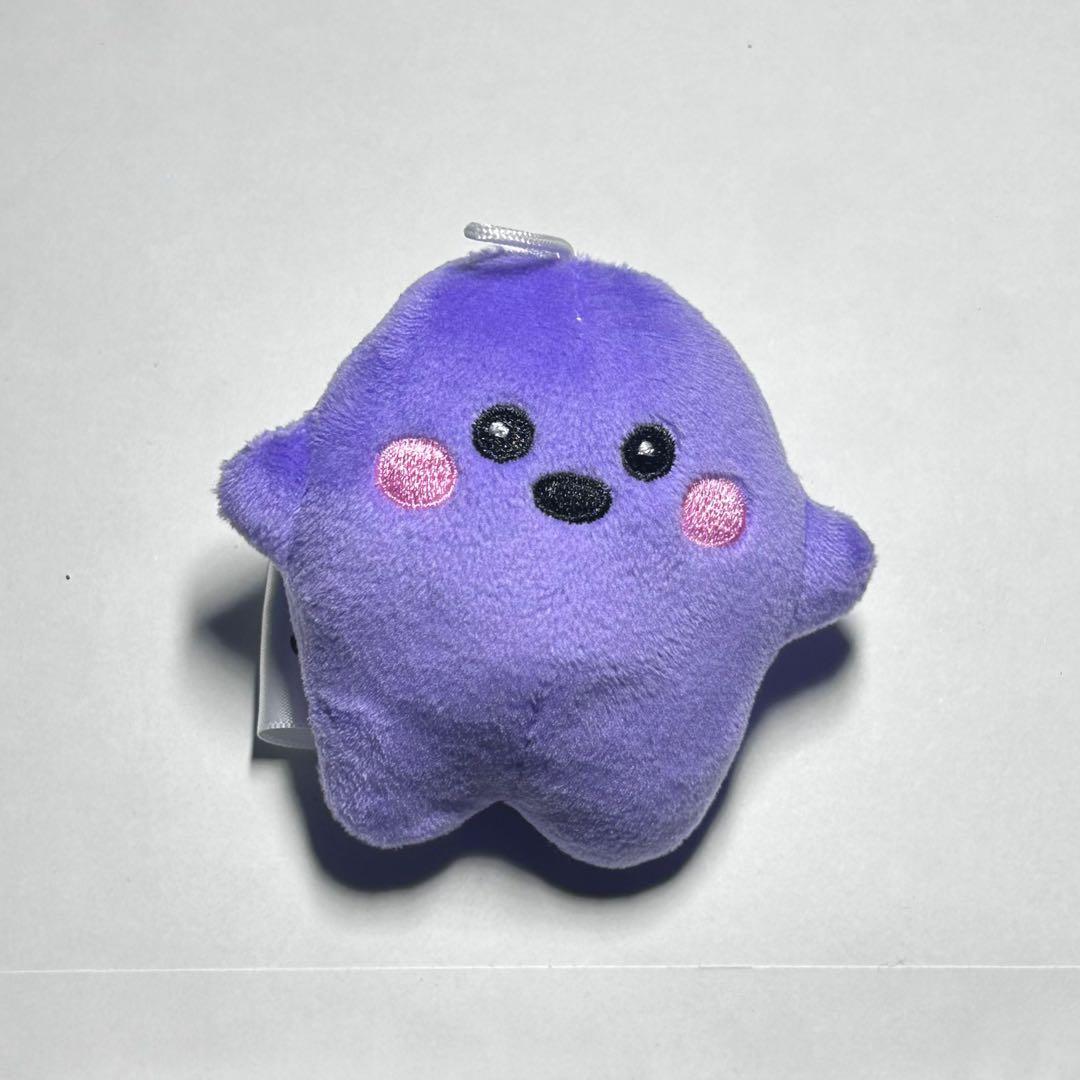 ドイツパビリオン　サーキュラー　大小セット　紫