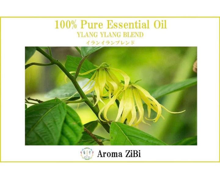 【オイル増量中　100ml】(送料無料)アロモア本体＋イランイランブレンド