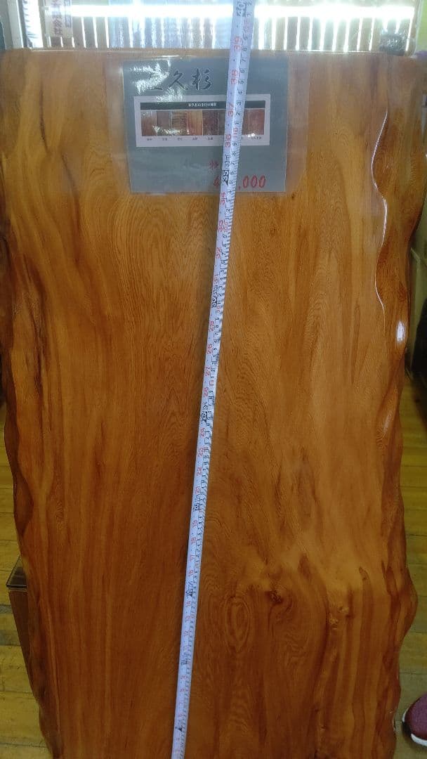 屋久杉カウンター