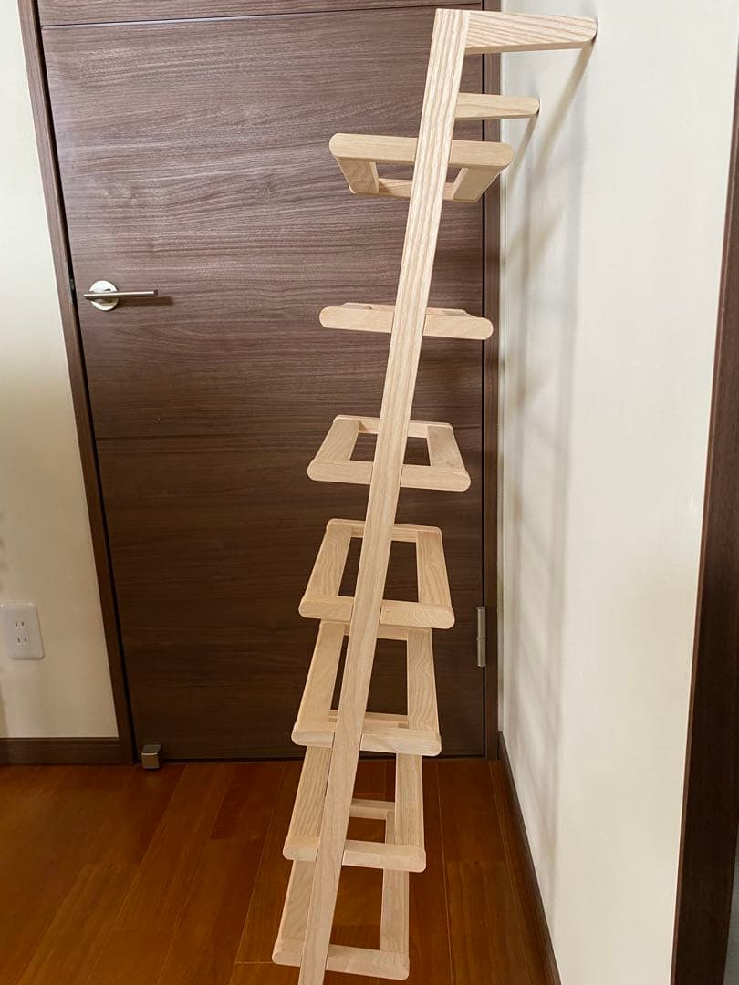 サイド バイ サイド シューラック レディロング scope