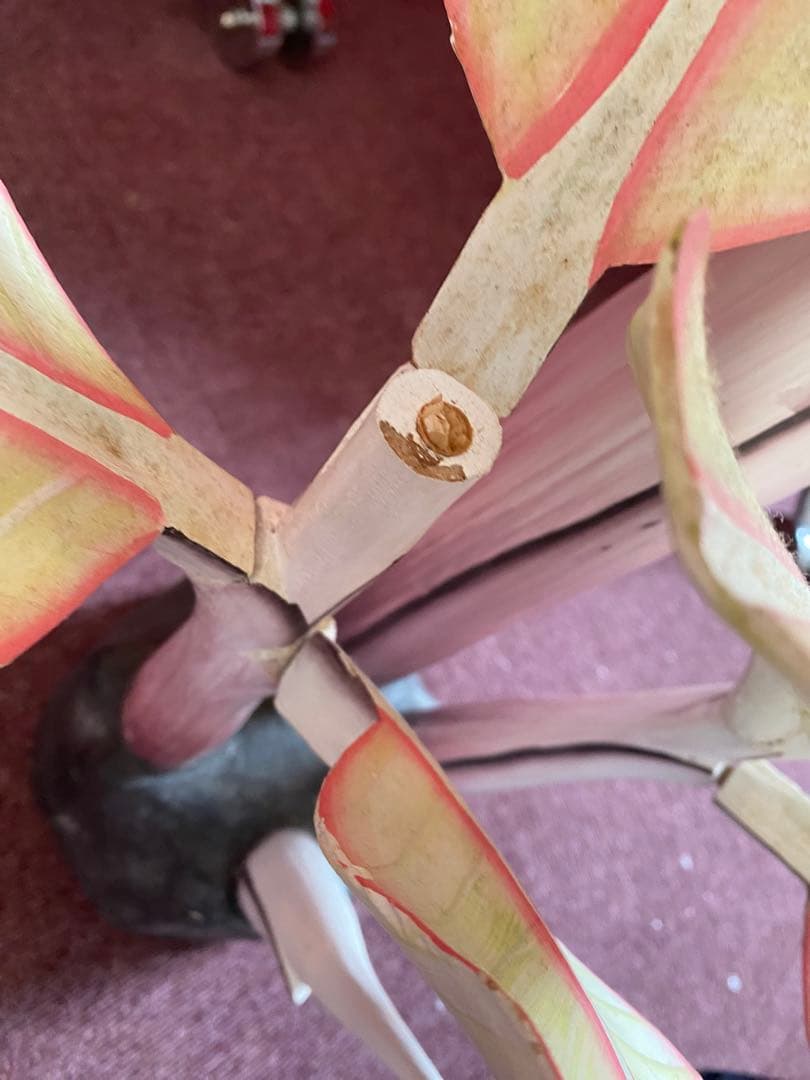 大きなバナナのオブジェ