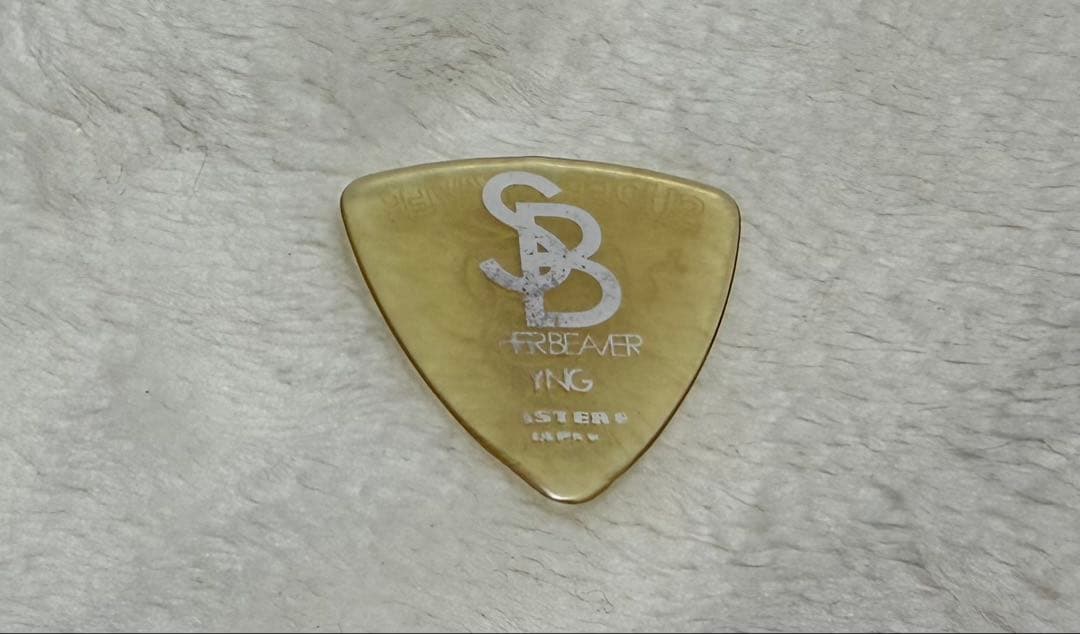 Super Beaver 柳沢亮太本人使用ピック