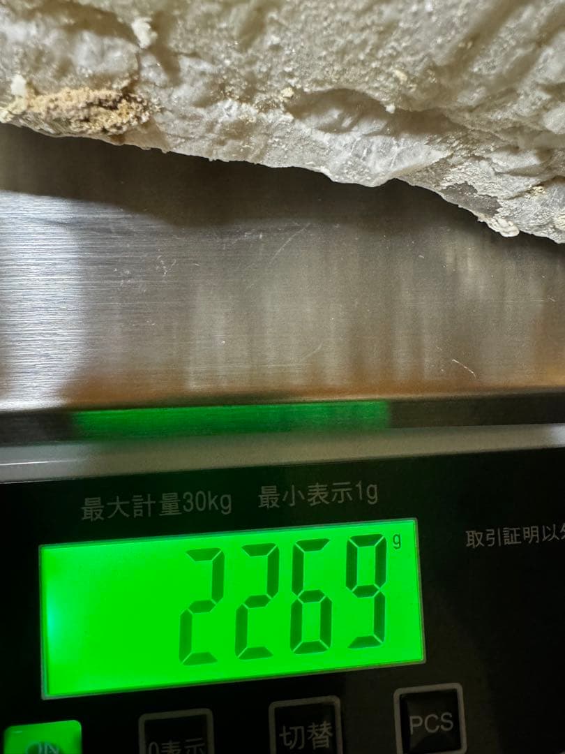 希少 一点物 特大アリゲータークォーツ原石 2.2kg ブラジル産