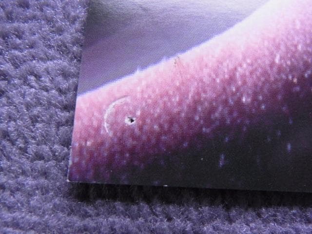 非売品 ポスター マジック・ザ・ギャザリング 第6版クラシック