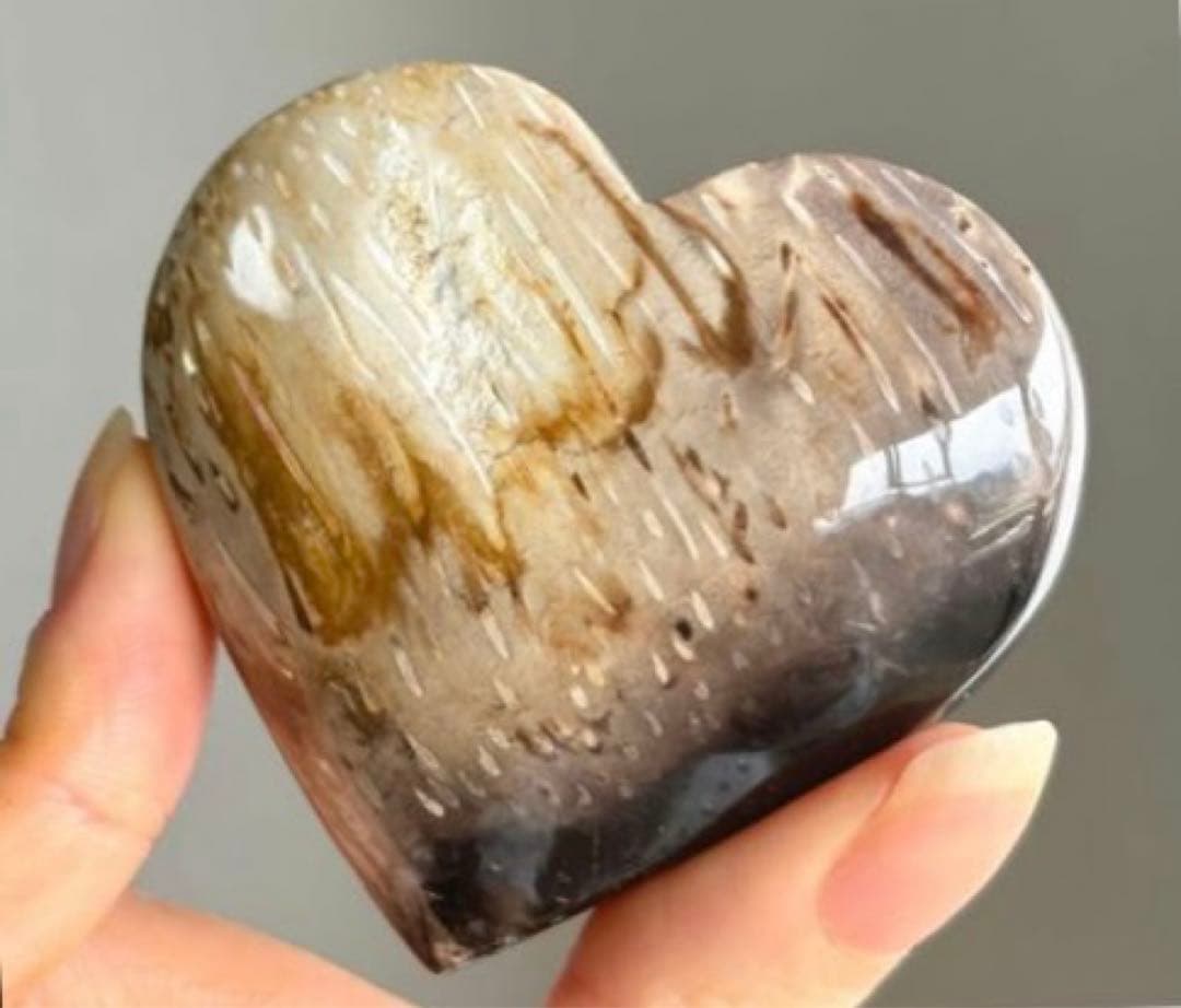 高品質 ペトリファイドウッド 大きめハート 握り石 珪化木 - メルカリ