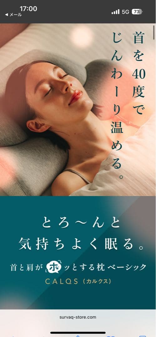 CALQS HOT PILLOW ベーシック 加熱枕 グレー