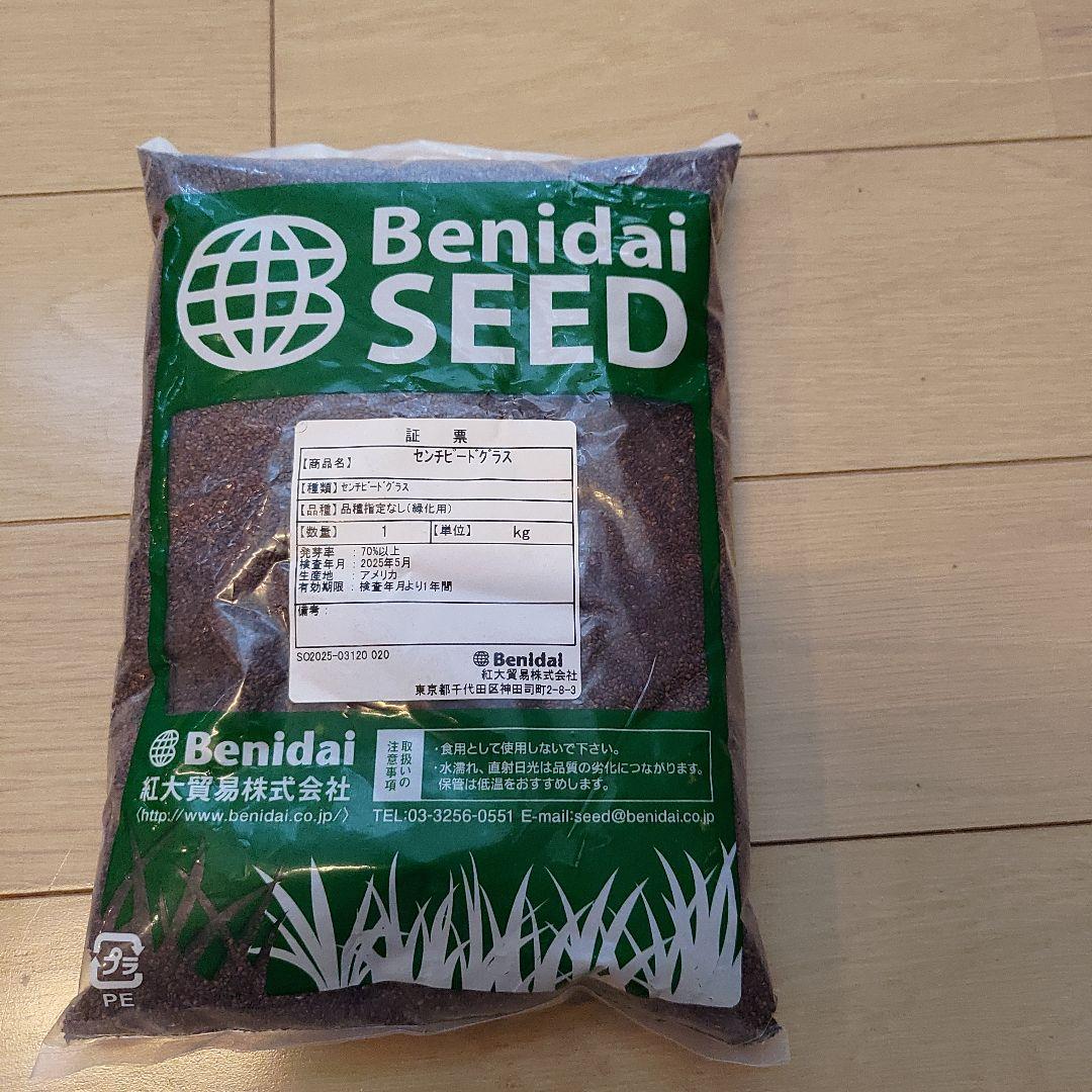 Benidai 芝生の種 ゼニゴケプラス エリオトロプラス　6個セット