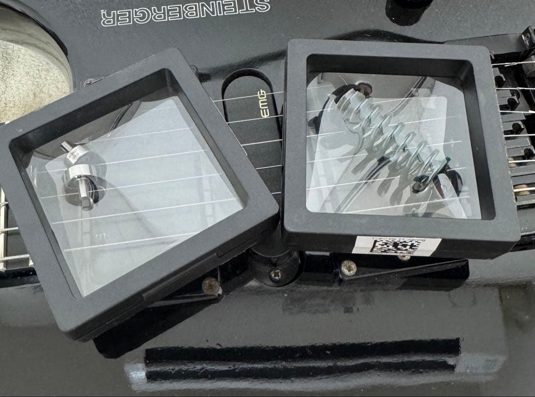 前期型 STEINBERGER GM7TA ソフトケース、ヘッドアダプター付属 - メルカリ