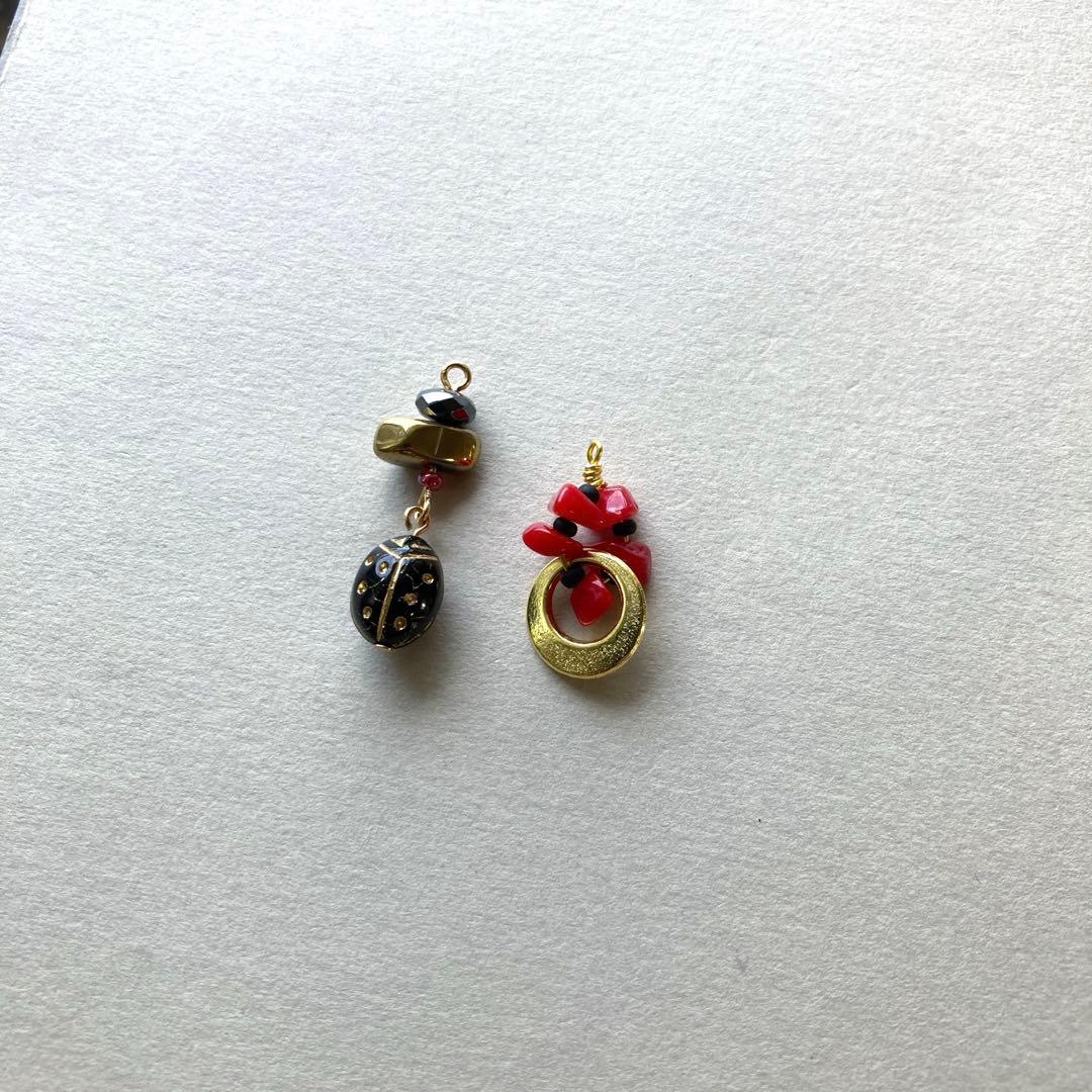 no.025 月夜とブラックナナホシ