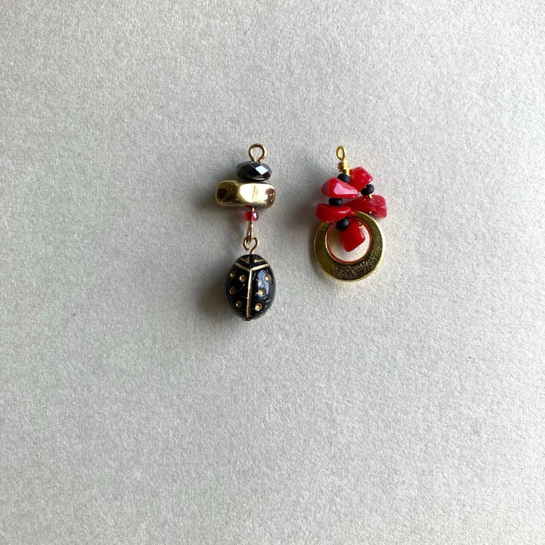 no.025 月夜とブラックナナホシ