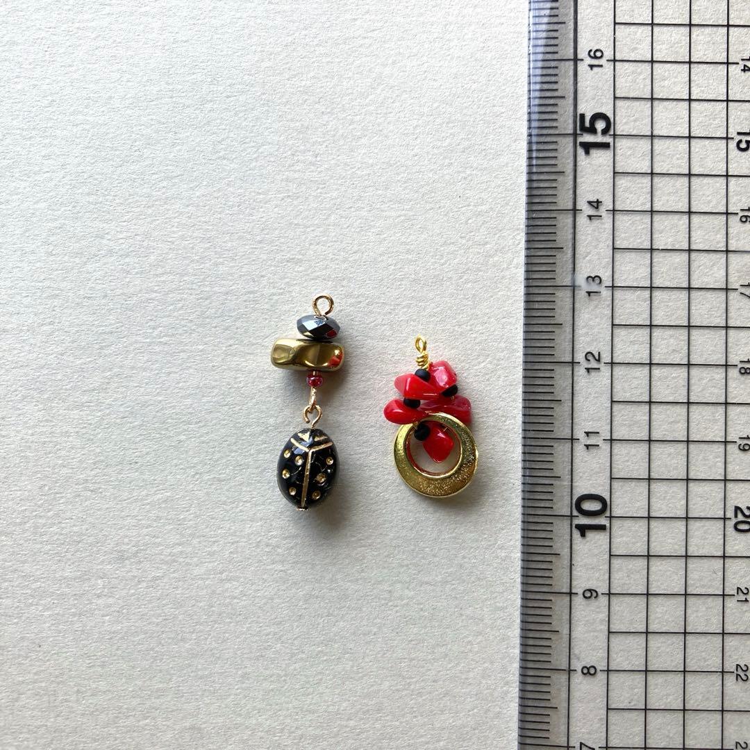 no.025 月夜とブラックナナホシ