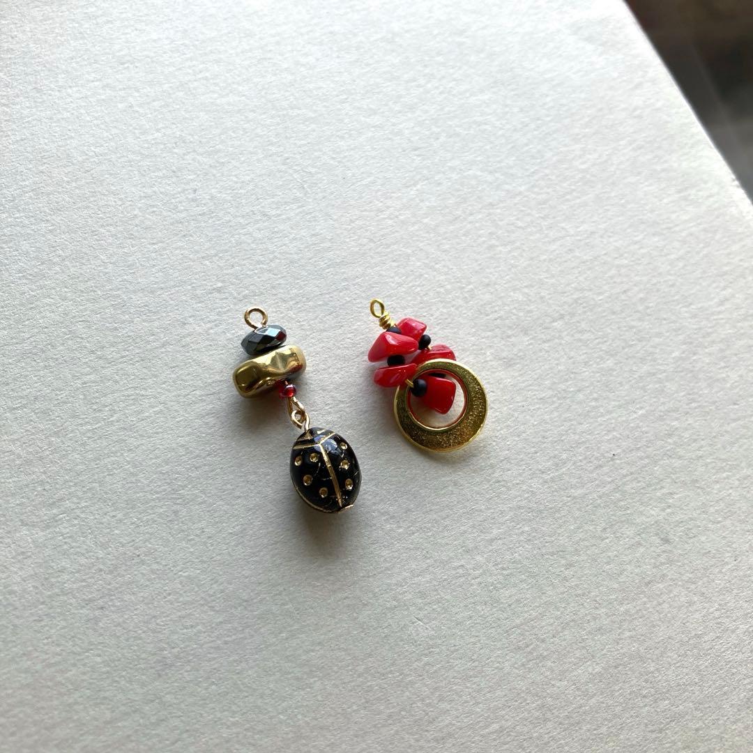 no.025 月夜とブラックナナホシ