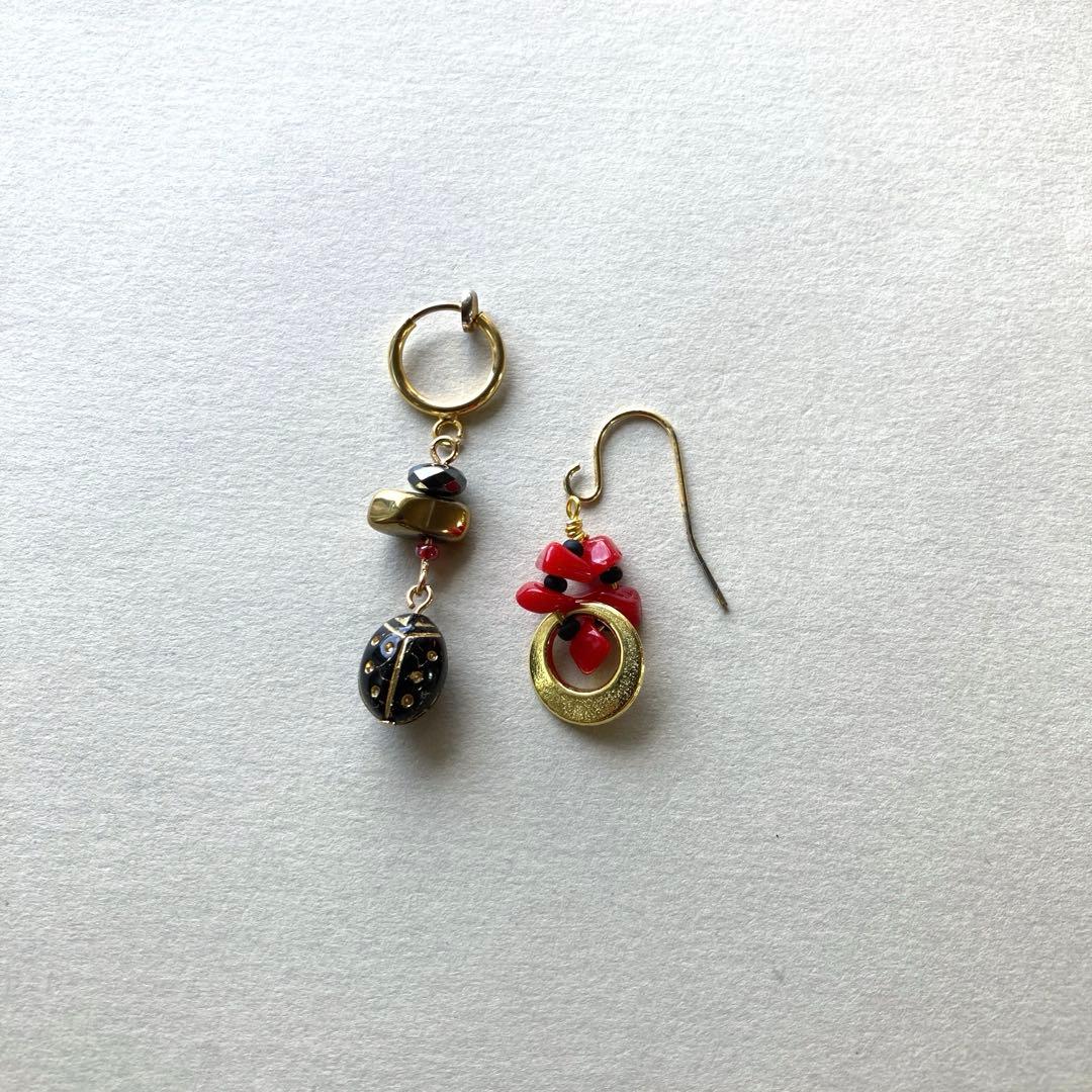 no.025 月夜とブラックナナホシ