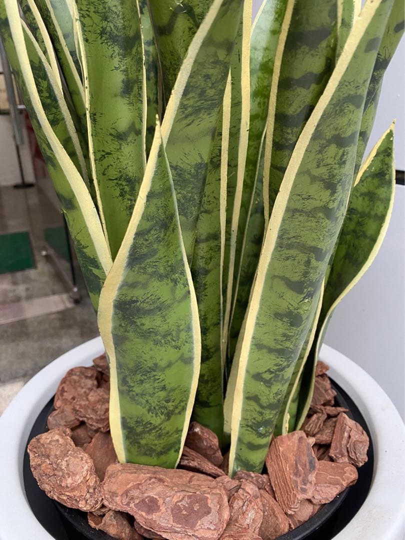 光触媒　人工観葉植物　フェイクグリーン　サンスベリアスタンドセット