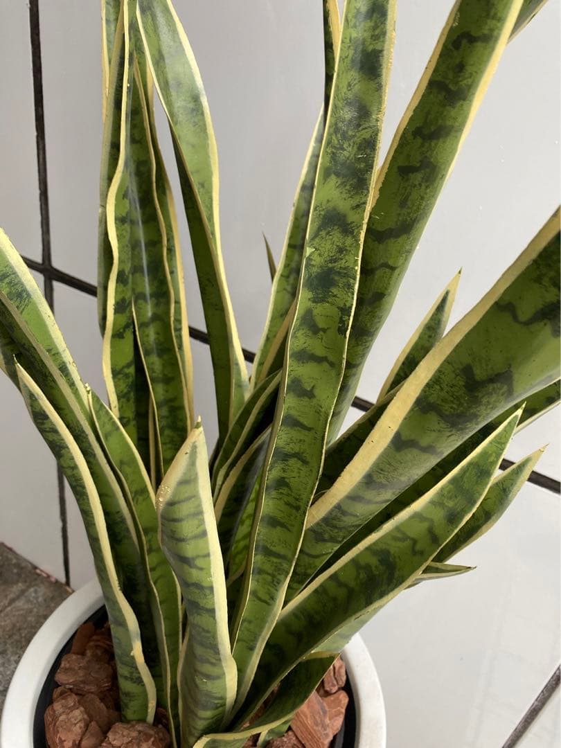 光触媒　人工観葉植物　フェイクグリーン　サンスベリアスタンドセット