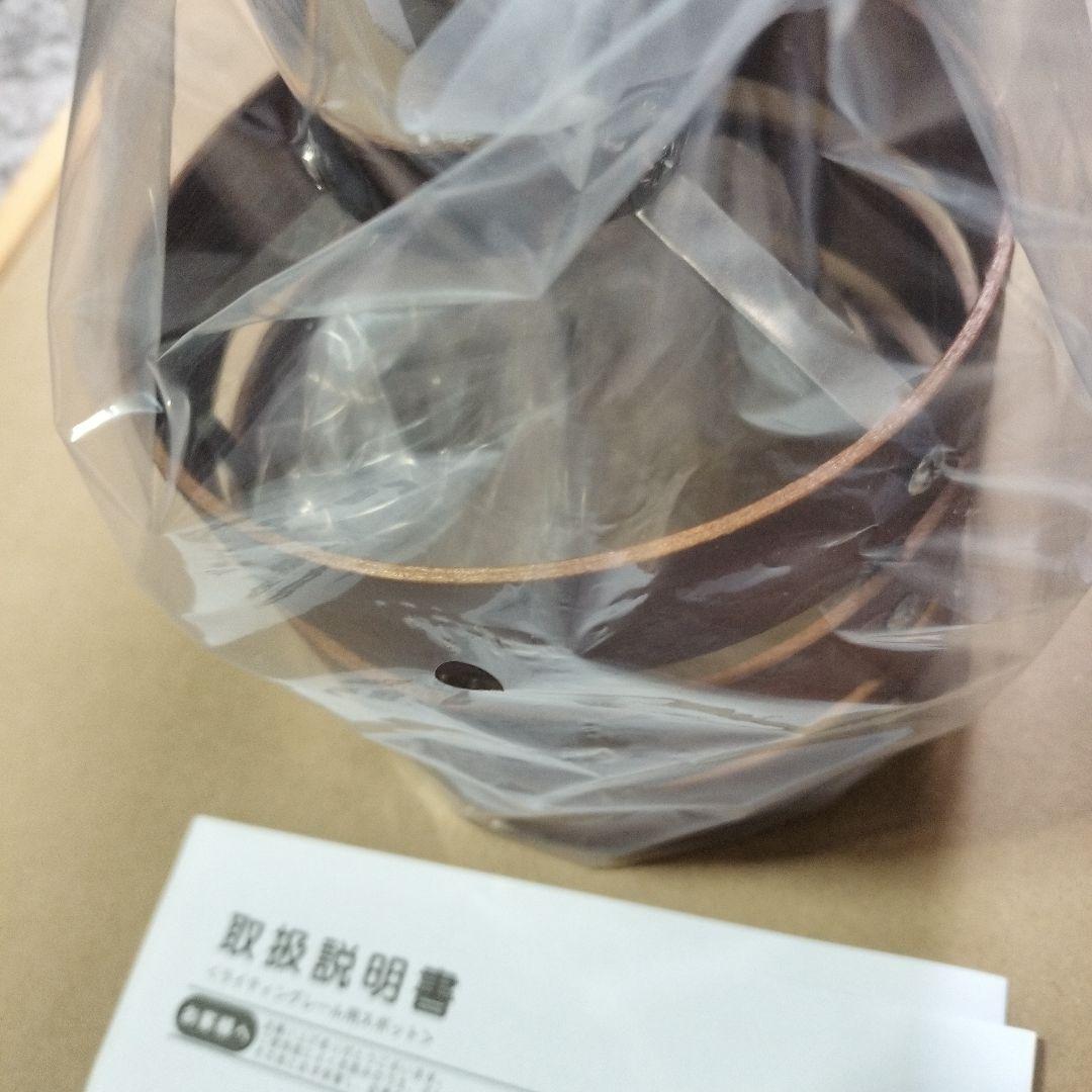 共同照明 2個セット ダクトレール用 スポットライト LED電球 エジソン電球