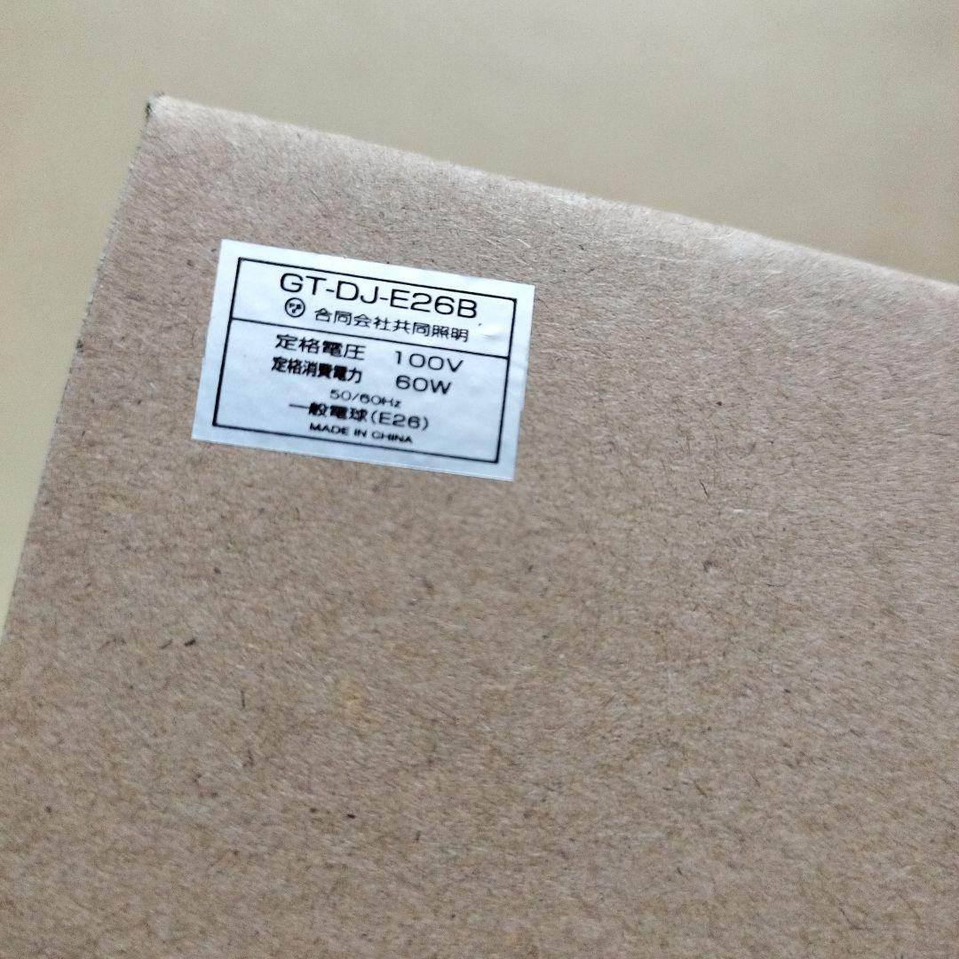 共同照明 2個セット ダクトレール用 スポットライト LED電球 エジソン電球