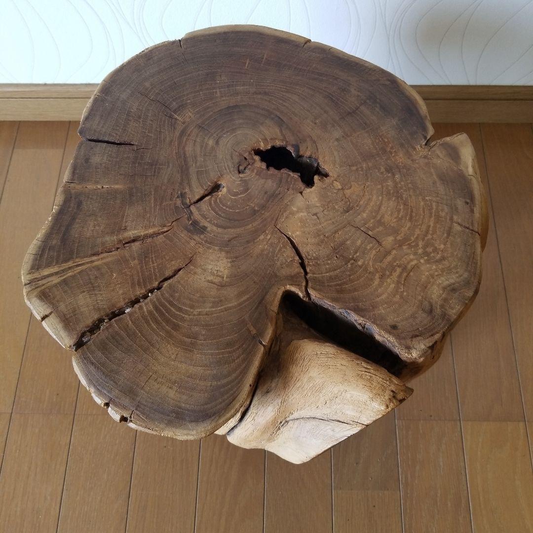 オブジェ　置物　置台　《レア》　桑の古木&山櫻　椅子　稀少！