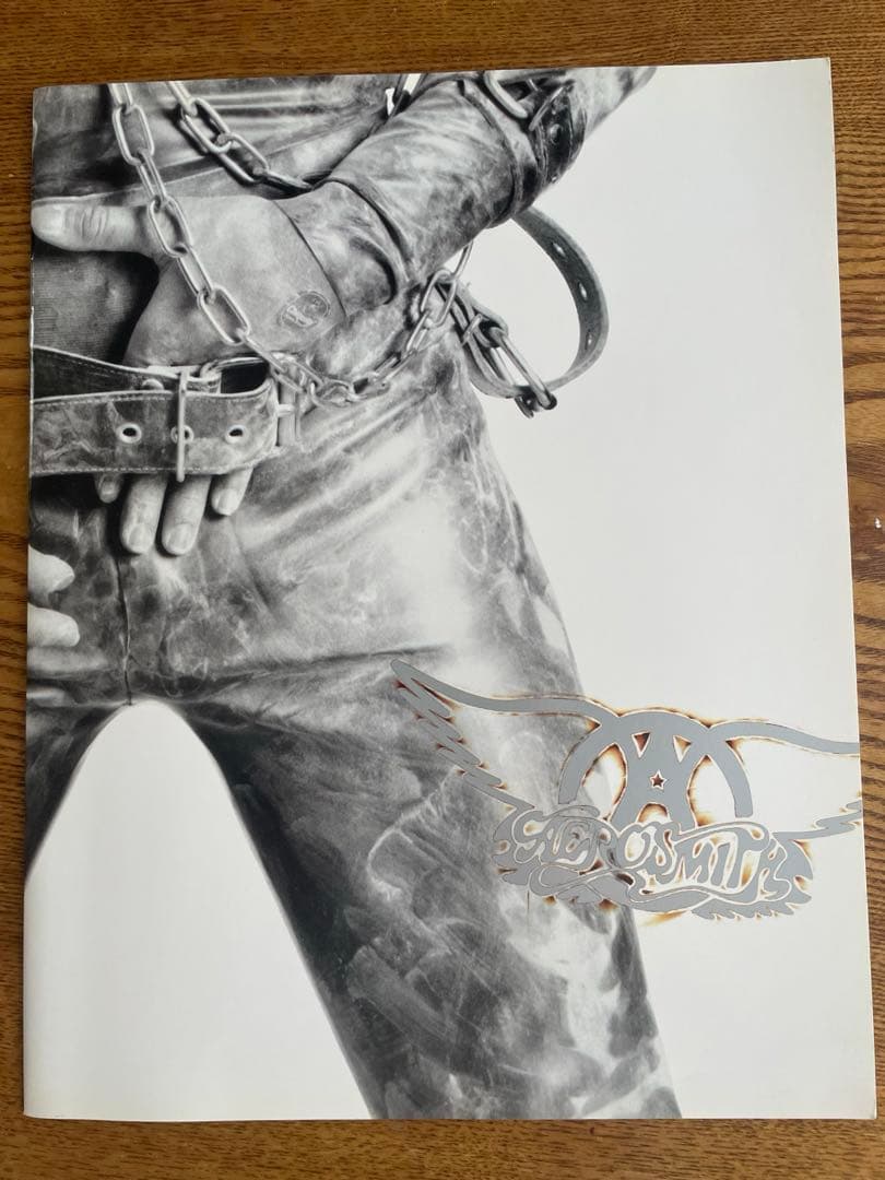 美品エアロスミス GET A GRIP 1994 ツアーパンフ - メルカリ