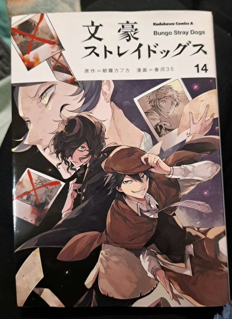文豪ストレイドッグス 漫画まとめ売り ※バラ売りも検討(詳しくは本文