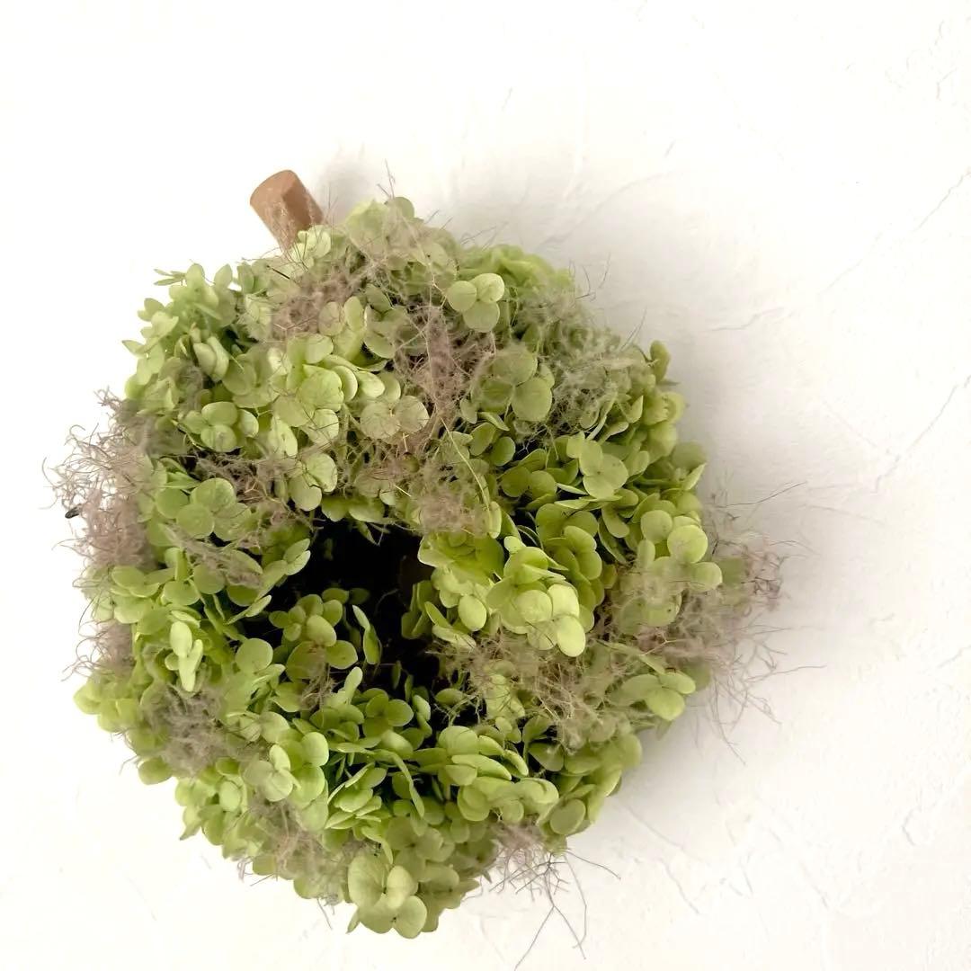 アナベルとスモークツリーのリース* *ラッピング無料 壁掛け シンプル