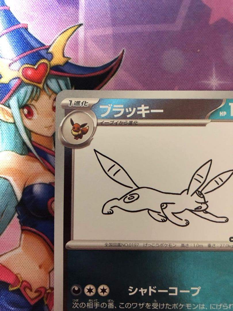 ポケモンカード YU NAGABA ブラッキー プロモ 極美品 ワンオーナー品