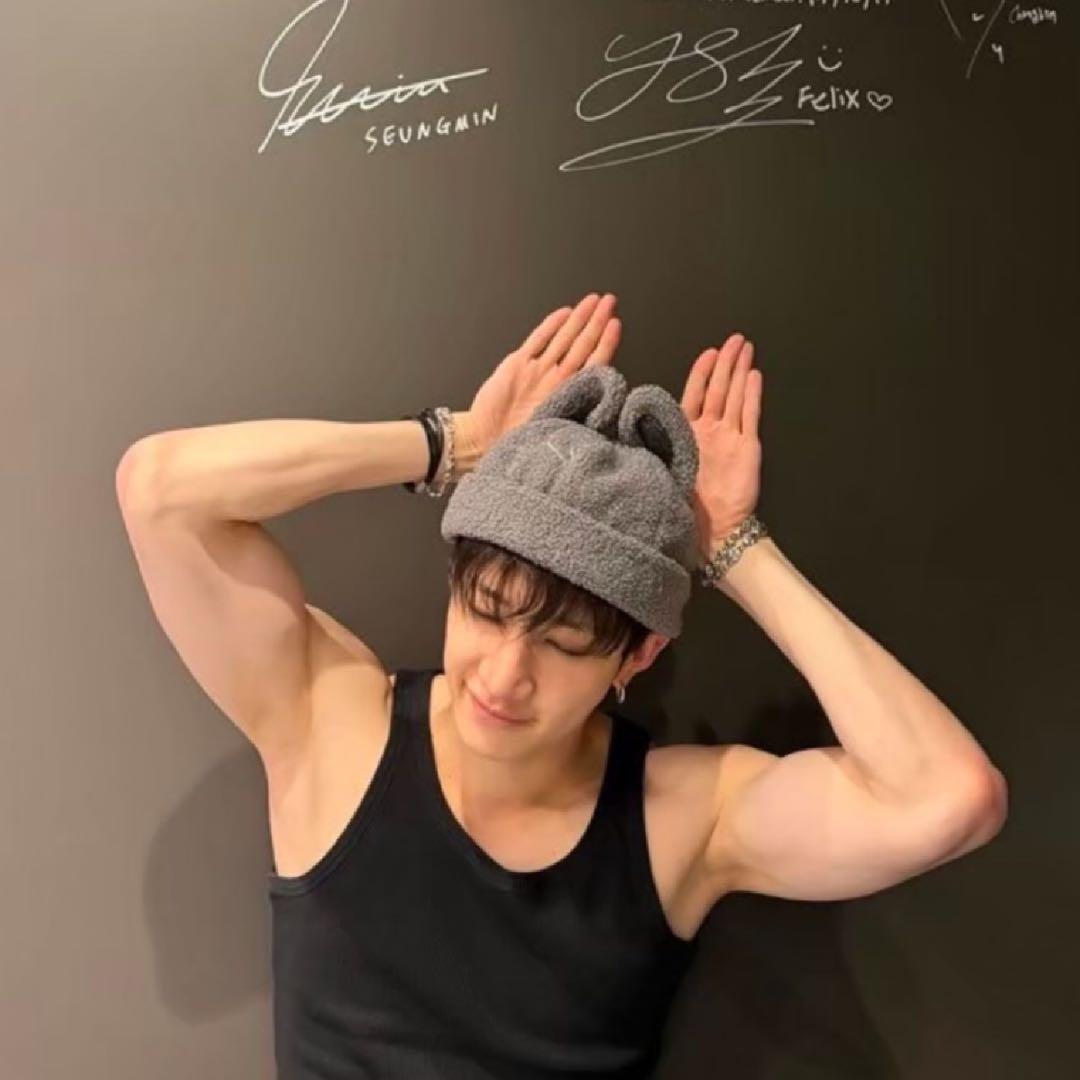 straykids バンチャン ボアキャップ dominATE ウルフチャン - メルカリ