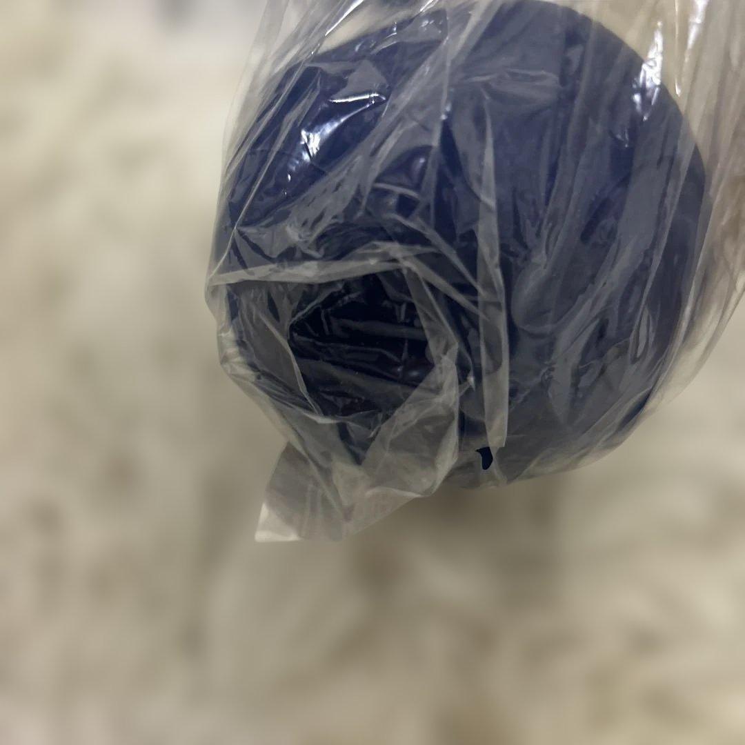 【未使用品】フィットネスクラブ スタイリーボール SLB-100 青