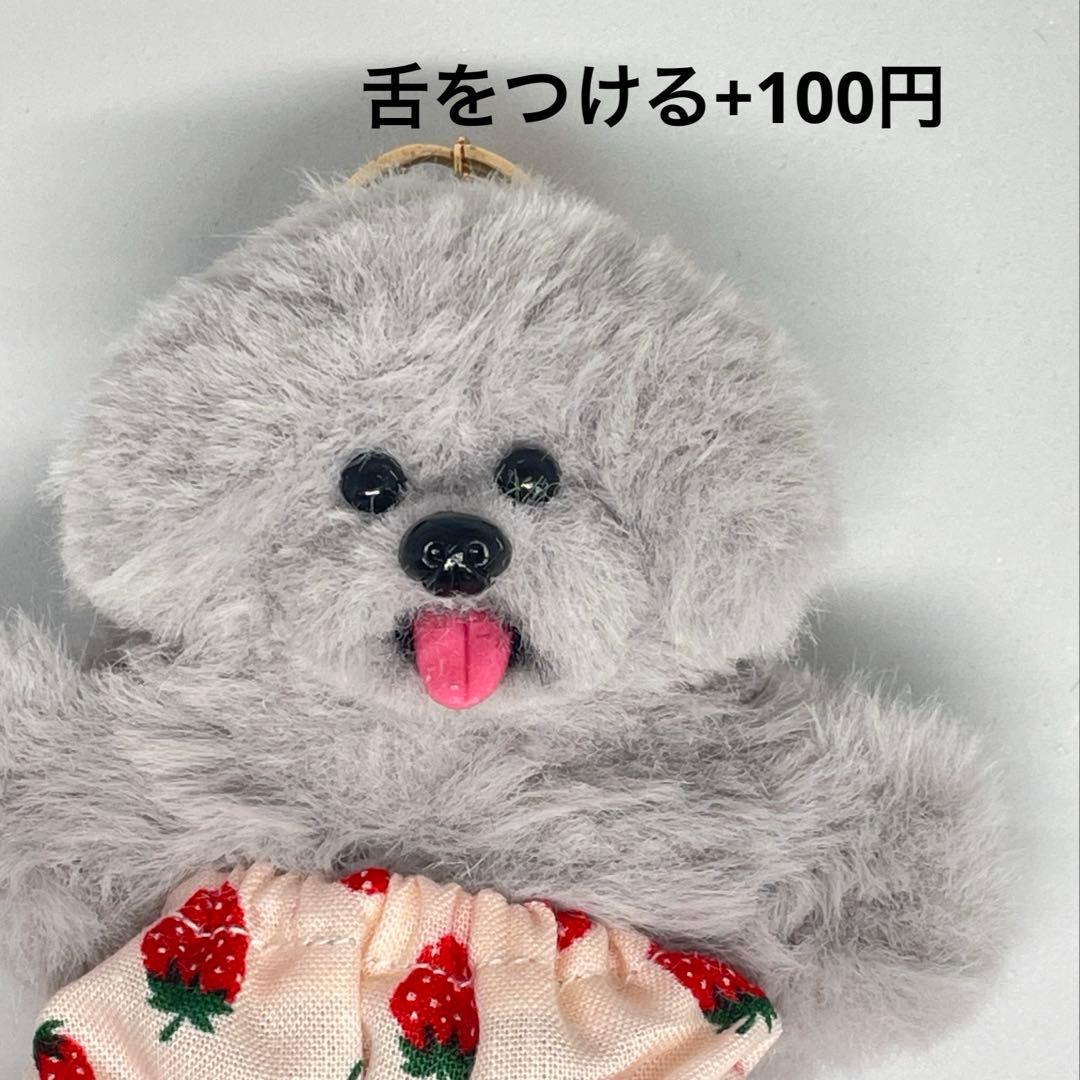 モールドール セミオーダー受付 2500円〜