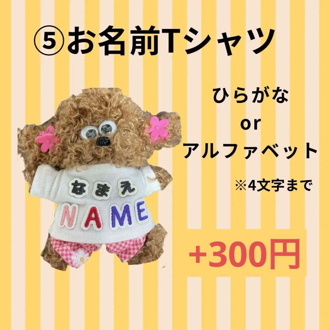 モールドール セミオーダー受付 2500円〜