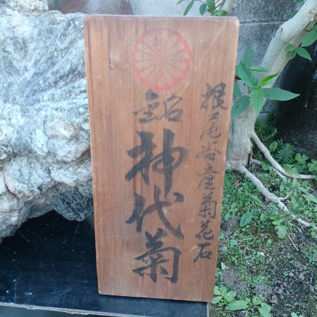 根尾谷産菊花石　　(銘) 神代菊　約12キロ