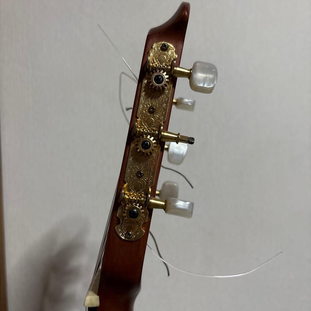 オベーション ギター エレアコ CC253 ハードケース アコースティック