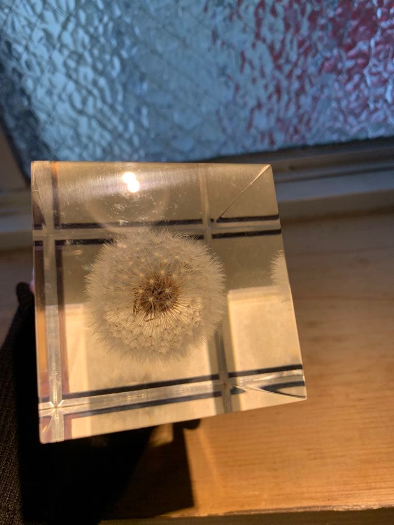 週末値下げ 井上隆夫　LEDタンポポライト　アクリル　希少