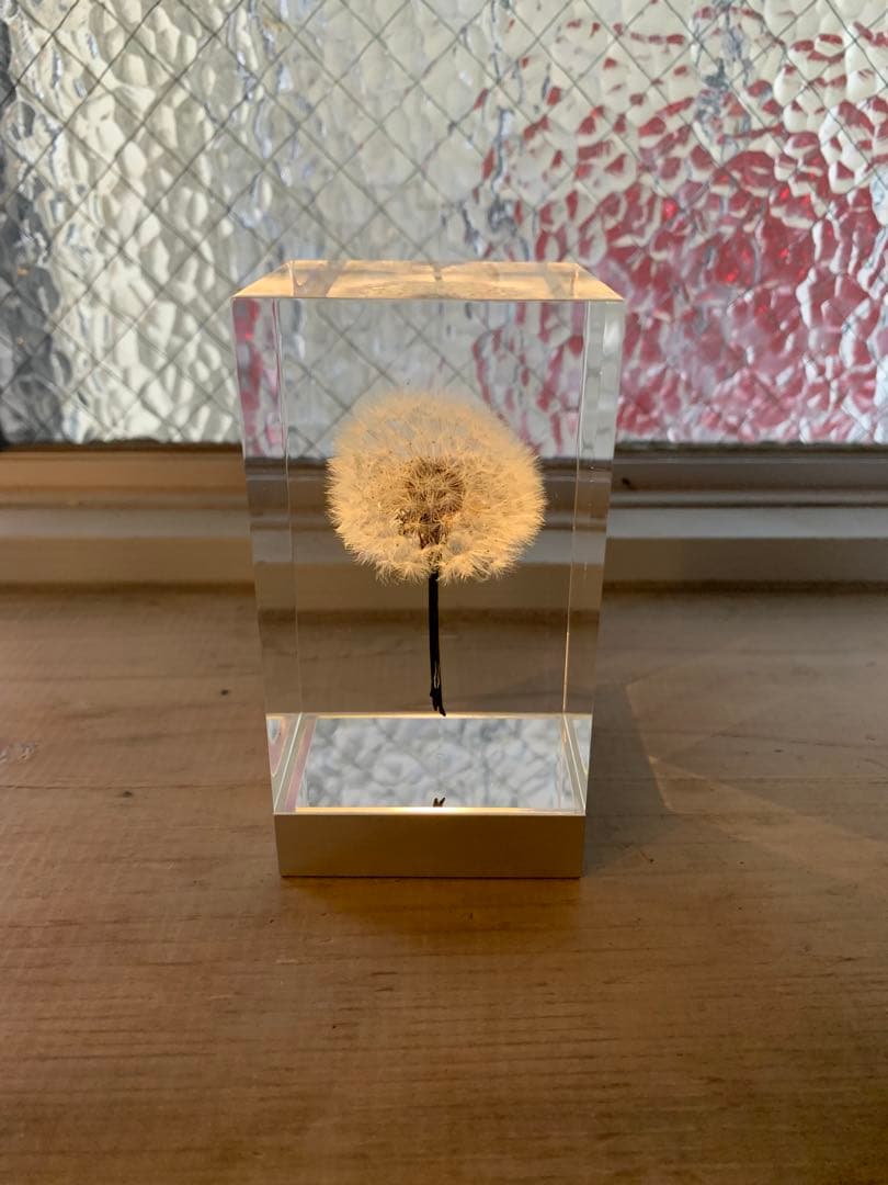 週末値下げ 井上隆夫　LEDタンポポライト　アクリル　希少