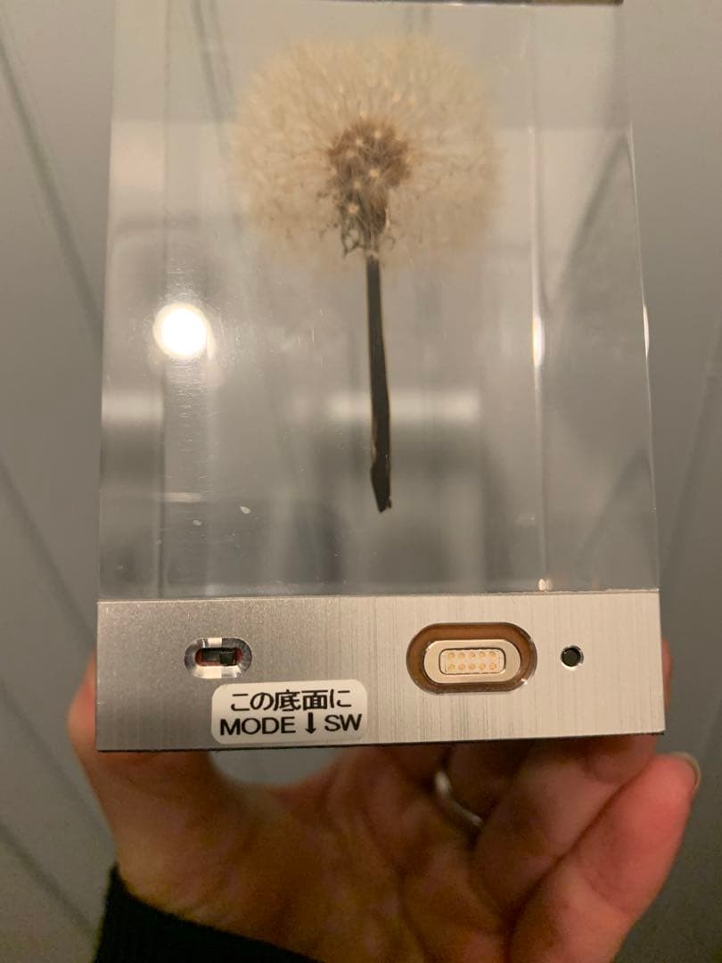 週末値下げ 井上隆夫　LEDタンポポライト　アクリル　希少