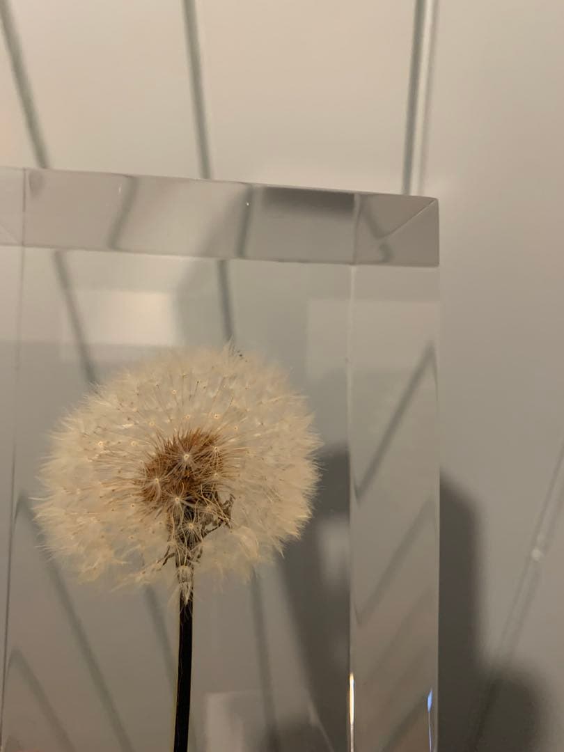 週末値下げ 井上隆夫　LEDタンポポライト　アクリル　希少