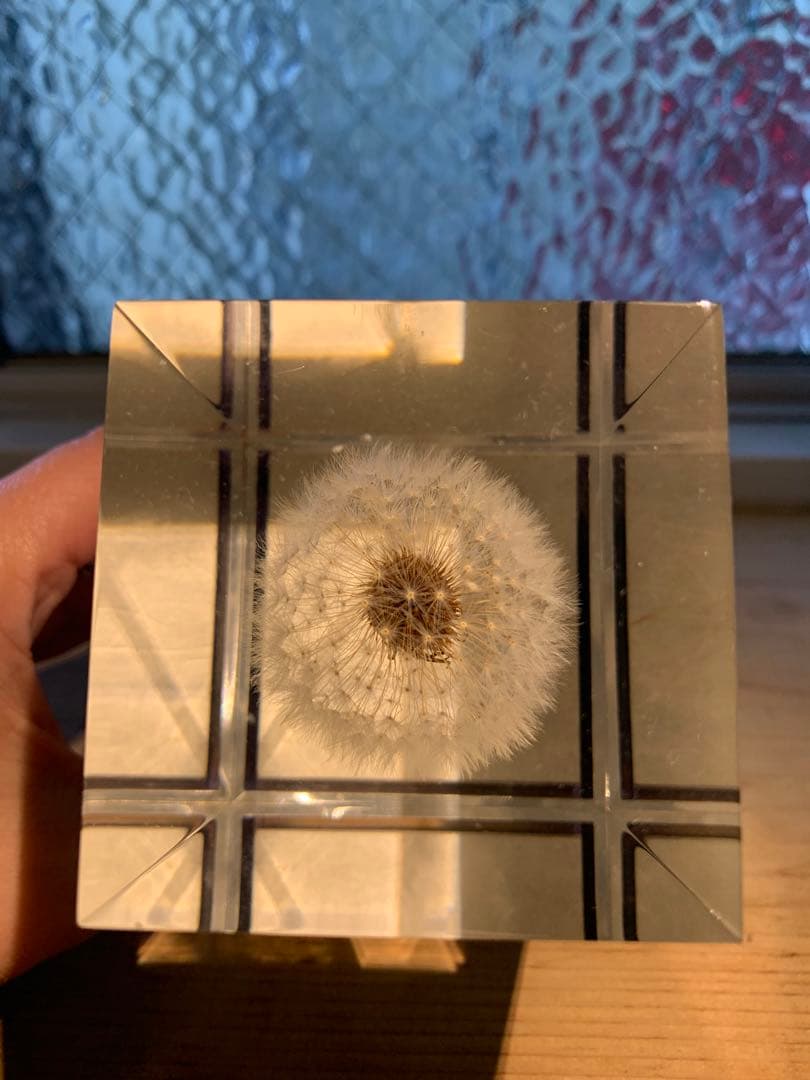 週末値下げ 井上隆夫　LEDタンポポライト　アクリル　希少