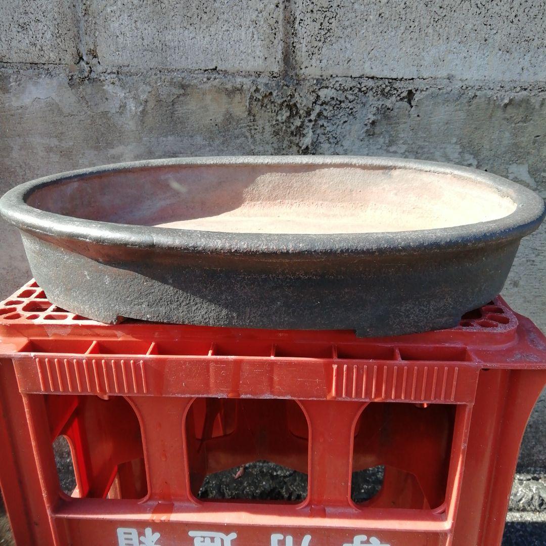 中国鉢、支那鉢、盆栽鉢、盆栽小鉢、鉢、植木鉢、山野草鉢、盆栽