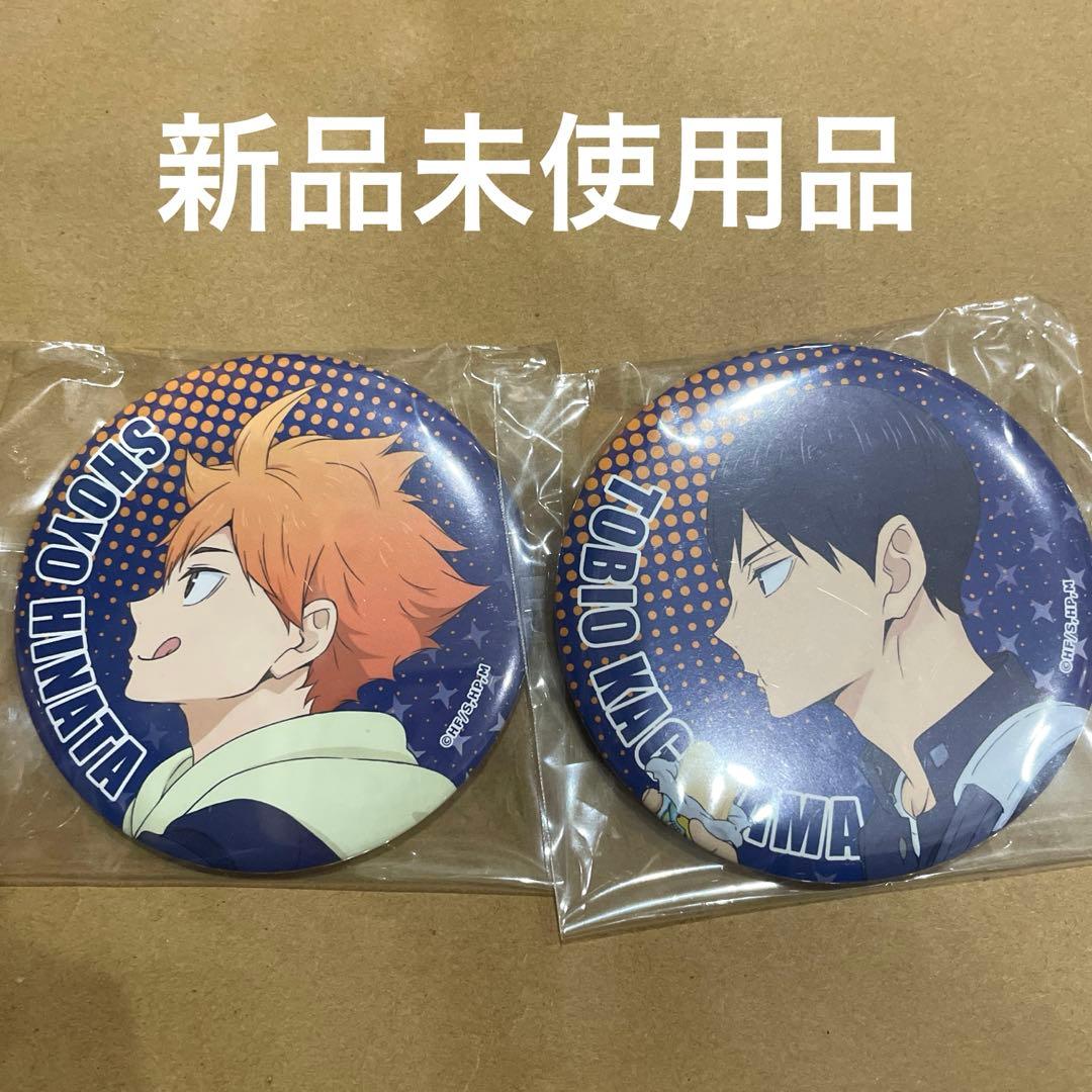 ハイキュー!! ちょこっとくじ 日向翔陽 影山飛雄 セット 影山 日向