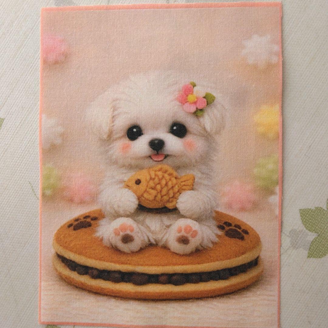 ☆受付☆マルチーズ