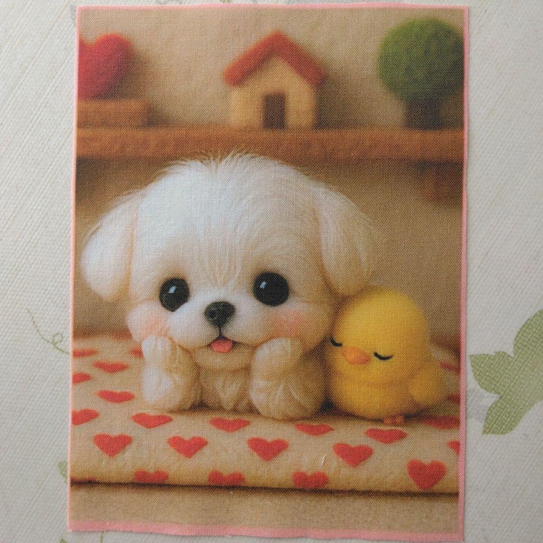 ☆受付☆マルチーズ