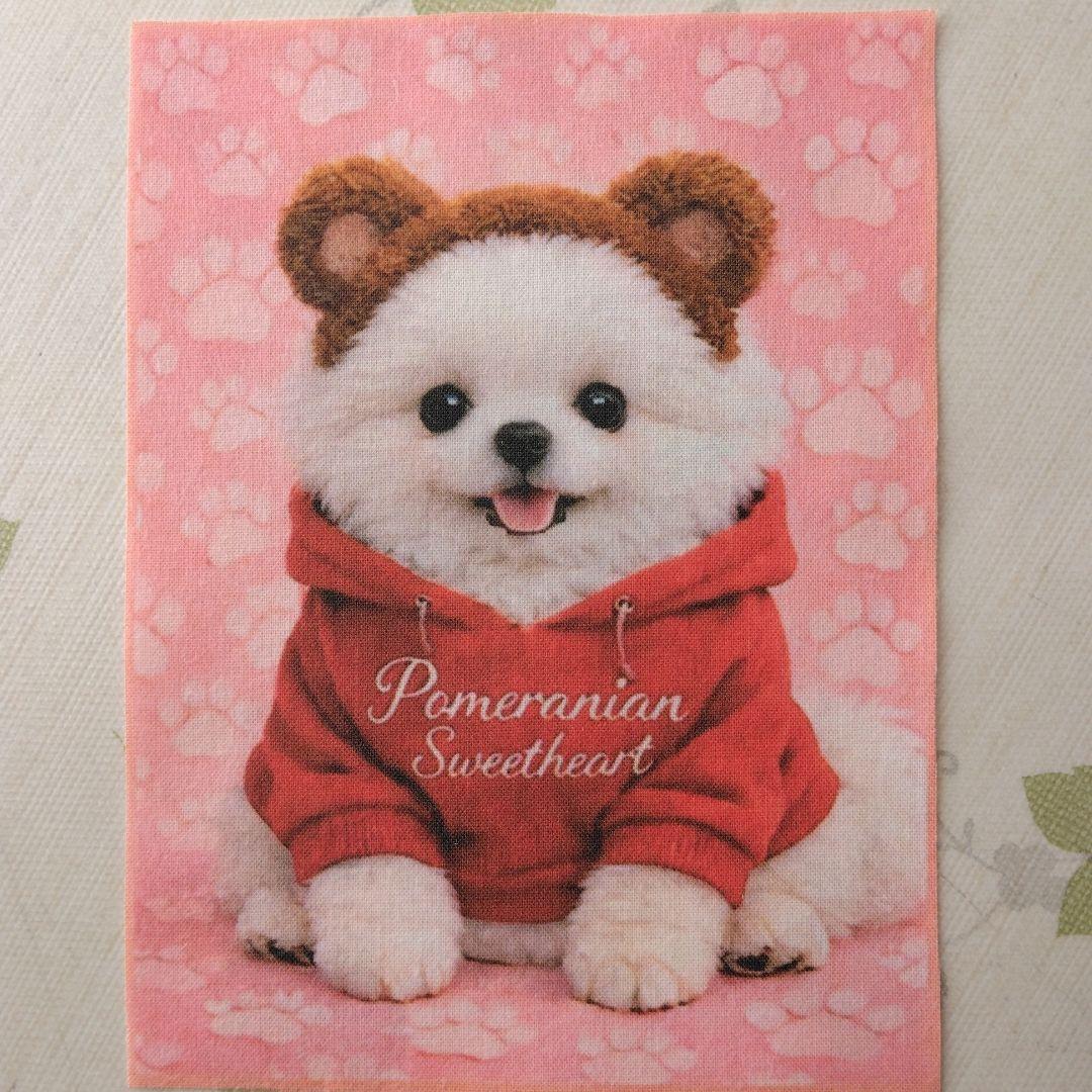 ☆受付☆マルチーズ