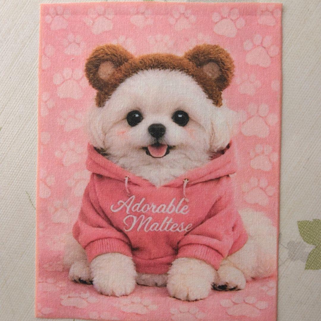 ☆受付☆マルチーズ