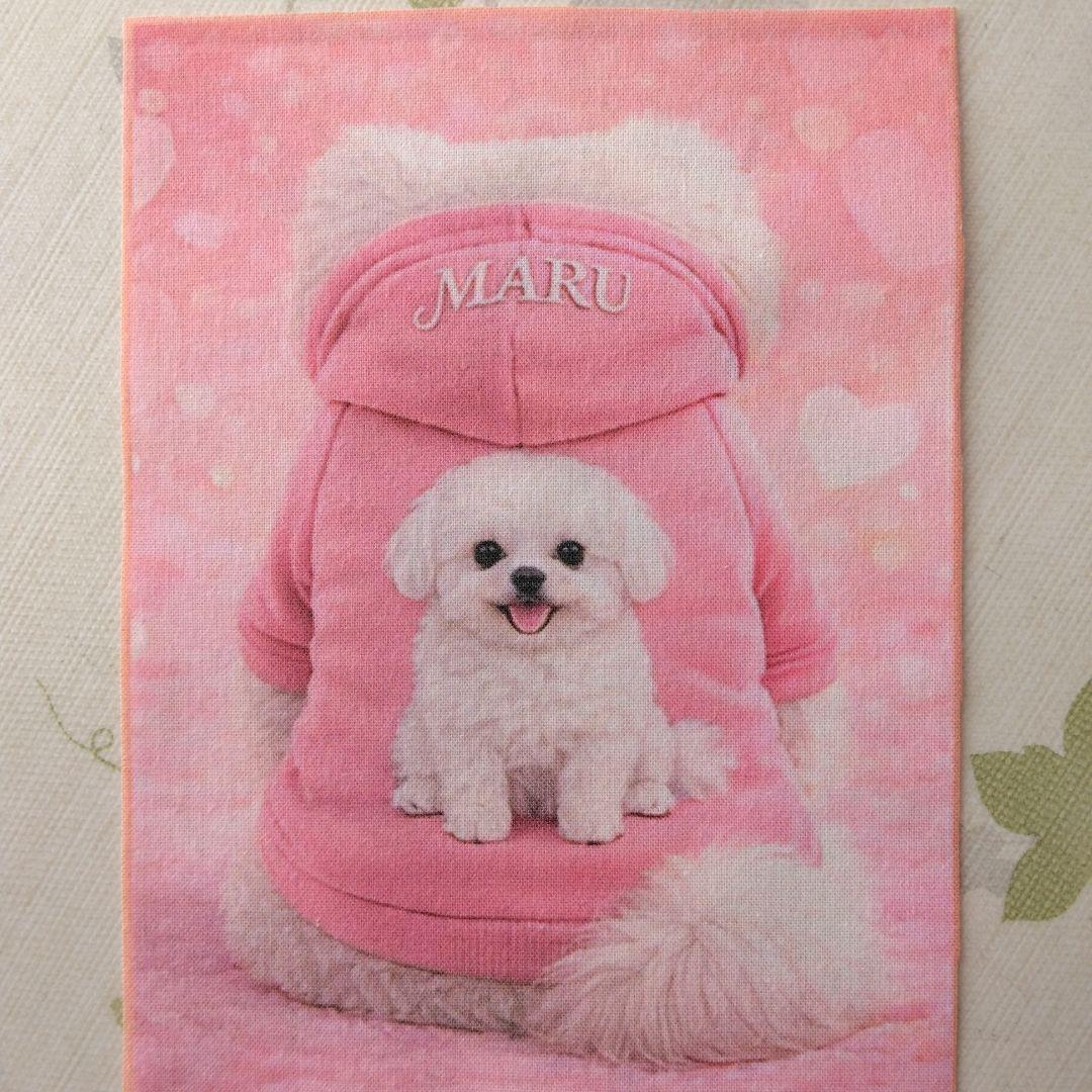 ☆受付☆マルチーズ