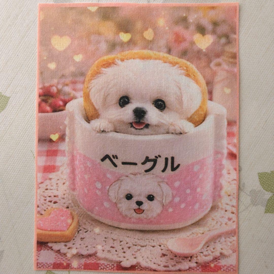 ☆受付☆マルチーズ