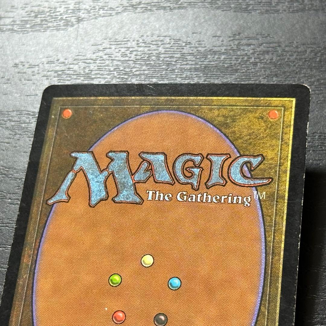 MTG トレイリアのアカデミー 日本語