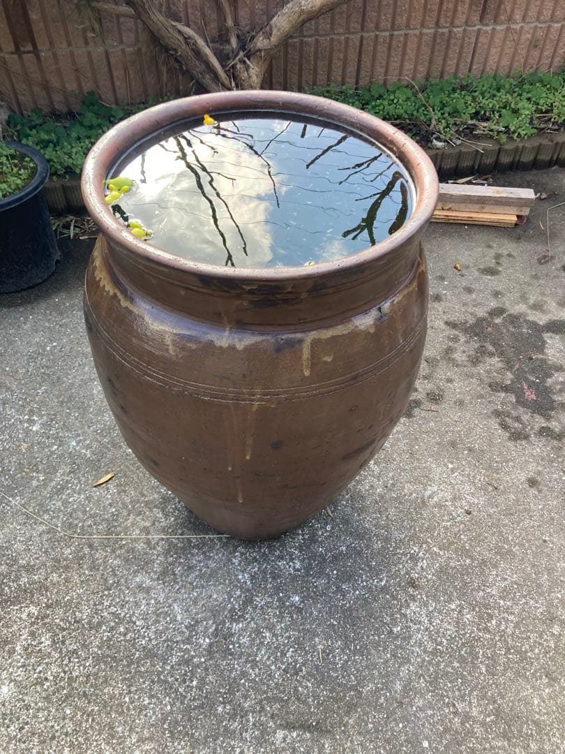 大型 水瓶 睡蓮鉢 火鉢 陶器製 壺 メダカ鉢 高さ64cm 直径42cm 骨董