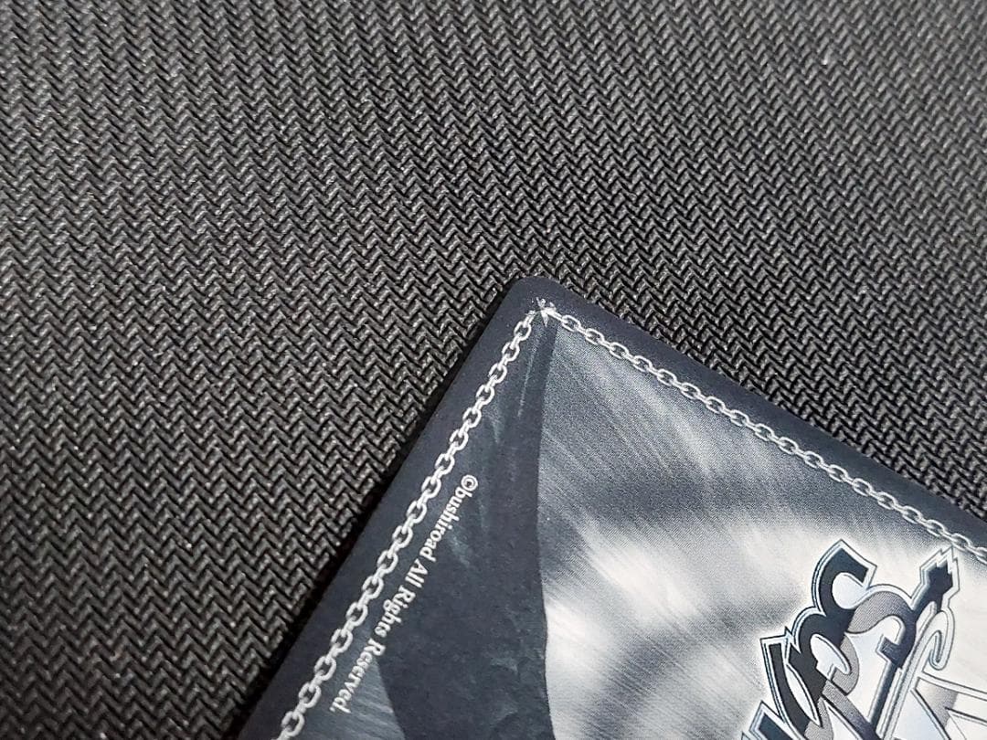 SP 美しい夕景 サイン ヴァイスシュヴァルツ 電撃文庫 豚のレバーは